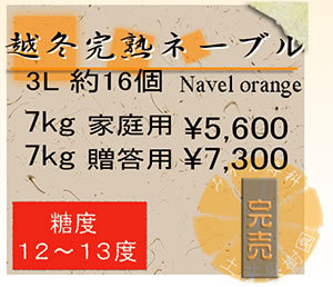 完熟ネーブルオレンジ価格